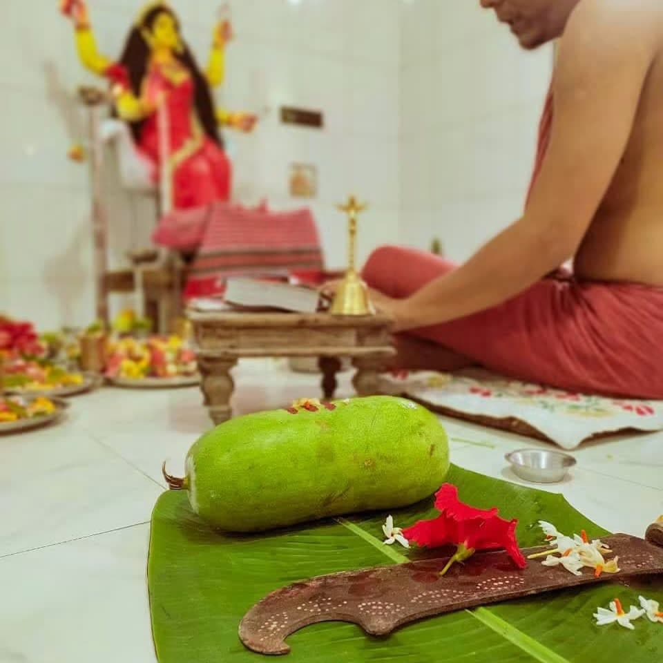 Community photo from Kobirajbari Durga Mandir, Pabna